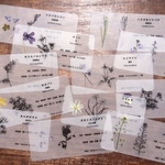 押し花標本カード☆しおり　春