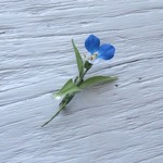 小さな露草のコサージュ
