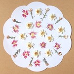 スターフロックスと花かんざしの押し花