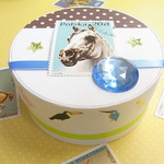 デコレーションBOX　鳥獣編。