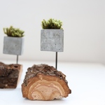 cement-stump-moss-vase  1