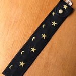 ものさし入れ 黒星
