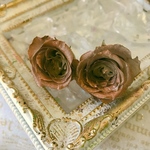 ヴェルディッシモグレージュカッパーアレンジ加工薔薇❣️ハーバリウム花材プリザーブドフラワー