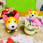 令和んちゃん🐶母の日セット💐💕