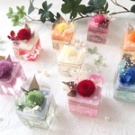 jewel aroma wax　アロマワックスケーキ　キューブ
