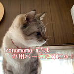 konamama-nさま専用ページ