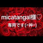 micatangal様♡専用です(〃艸〃)