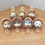 【受注販売】くるカラハムちゃん