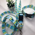  リード＆首輪：キャンディカラーストライプブルー