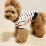レトロボーダー半袖 Tシャツ