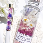 purple 木箱ギフトセット ハーバリウム&ハーバリウムボールペン   フラワーギフト 