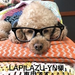 LAPILAZU-YN様専用です