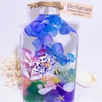 ハーバリウム  Herbarium　海　umi　 ウイスキーボトル   36