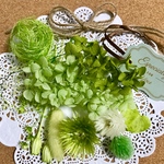 令和記念＊特別記念セール‼︎ハーバリウム花材セット ドライフラワー 花材Green
