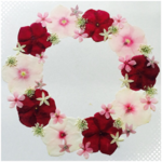 押し花素材No.86