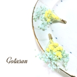かすみ草 ミントグリーン イエロー 花束 イヤリング／ピアス