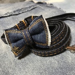 犬用首輪&リードセット