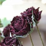 ファンファール スプレーバラの Dry Flower（13輪：3本）