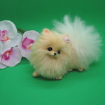 羊毛フェルト  犬  ポメラニアン   置物