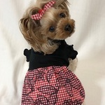お花プリントのギンガムチェックワンピ（黒×レッド）