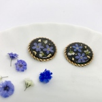 勿忘草(わすれな草)とアリッサムのピアス/イヤリング