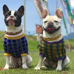 犬服オーダー★北欧ドットｔ青中型犬小型犬フレンチブルドッグパグフレブル服