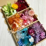 宝石箱ハーバリウム花材ドライフラワー 花材セット3セット