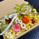 アレンジ完璧ハーバリウム花材ドライフラワー 花材セット