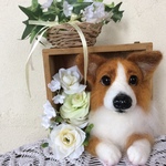 こた様オーダー品（ボックスコーギー）