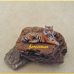 タイガー🐯ブローチ