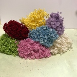 スターフラワーミニ   7色各30本入り210本