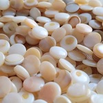 8mm　ナチュラルシェルビーズ　楕円球　30個　S171 