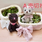 プチくまちゃん（カゴ付き）※A B別売