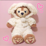 専用ページ
