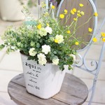 *ふんわり爽やかな春の寄せ植え*