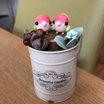 ピーちゃんのお好みバケット