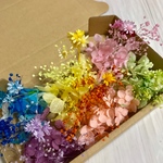 6色セット小分け花材ハーバリウムボールペンに♪レジン素材