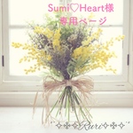 Sumi❤️Heart様専用ページ