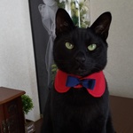 赤丸リボン   Mサイズ