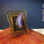 幻想蝶の標本