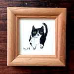 ミニ額原画 はちわれねこさん