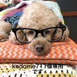 kadome711様専用です