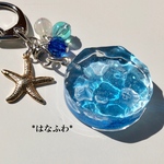 *丸い海（クラゲとヒトデ）