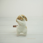 ✩再販×２✩うさぎブローチ：お手入れポーズ（ホーランドロップ/ブロークンオレンジ）