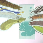 魚のメッセージカード<海の王者ウツボ>