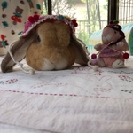 チェリー🍒ぼんぼん帽