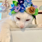 アジサイ🐱フラワー帽子