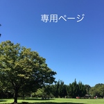 pyokomaruko様専用ページ