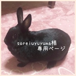 soreiyuyuma様専用ページ
