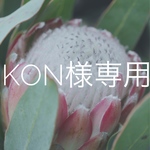 kon様専用花かごみたいなアジサイリース